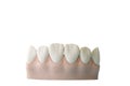 Jaw and teeth made of plaster. layout. Isolate on a transparent background. Royalty Free Stock Photo