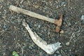 A jawbone and rusty hammer on the ground. Tooth and Nail.