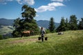 A farm worker carrying buckets and a free running horse at the farm in the mountains.