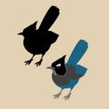 Jay bird vector illustration style flat black silhouette Royalty Free Stock Photo