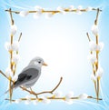 Jay in the frame with willow branches Royalty Free Stock Photo