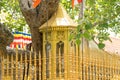 Jaya Sri Maha Bodhi in Anuradhapura ,Sri Lanka Royalty Free Stock Photo