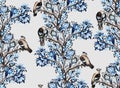 Jays birds on vertical trees Royalty Free Stock Photo