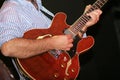 Jazz guitarist Royalty Free Stock Photo