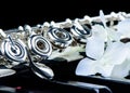 Jazz music instrument flute close up with flower Royalty Free Stock Photo