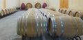 Jean Leon underground barrel cellars Royalty Free Stock Photo