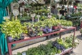 Jean-Talon Market Royalty Free Stock Photo