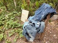 Jean trouser drying in the yard. Royalty Free Stock Photo