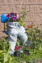 Jeans and boots as flowerpots in the spring garden, closeup. Garden decoration idea