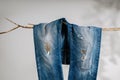 Jeans, Fashion, Fix or DIY Cloth Concept. Jeans Pant Hanging on Dried Tree Branch. Shadow shading on the White Wall. Patch Work