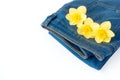 Jeans with Yellow Narcissus Flowers in Pocket Royalty Free Stock Photo