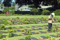 Jeath War Cemetery Royalty Free Stock Photo