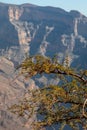 Jebel Shams, Balcony Walk trial, Oman, Ad Dakhiliyah Governorate, Al Hajar Mountains Royalty Free Stock Photo