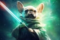 The Jedi Dog with a Light Saber Royalty Free Stock Photo