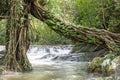 Jedkod waterfall at Khao Yai National park,Thailand