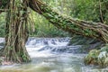 Jedkod waterfall at Khao Yai National park,Thailand