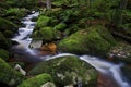 Jedlovy potok - Firtree Stream, Jizera Mountains, Czech republic