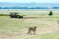 Jeep - safari in the African savannah Royalty Free Stock Photo