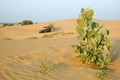 Jeep safari in the Thar desert,Rajasthan,India