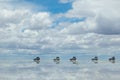 Jeep in the salt lake salar de uyuni, bolivia