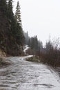 Jeep Trail of Dalton Road near Haines, Alaska