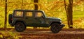Jeep Wrangler driving a forest road Royalty Free Stock Photo