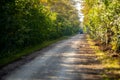 Jeep Wrangler on a nature trail overlanding Royalty Free Stock Photo