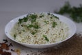 Jeera Bhaat or Jeera Rice. Delicious and aromatic Indian rice dish with basmati rice flavored by cumin seeds and other spices