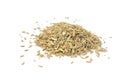 Jeera (Cumin Seeds) Royalty Free Stock Photo