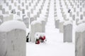 Jefferson Barracks National Cemetery Royalty Free Stock Photo