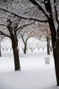 Jefferson Barracks National Cemetery Royalty Free Stock Photo