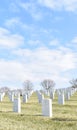 Jefferson Barracks National Cemetery St Louis Missouri Royalty Free Stock Photo