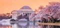 The Jefferson Memorial during the Cherry Blossom Festival