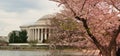 Jefferson Memorial and People Enjoying The Tidal Basin Blossoms Royalty Free Stock Photo