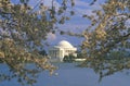 Jefferson Memorial with Spring Cherry Blossoms, Washington, D.C. Royalty Free Stock Photo