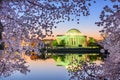 Jefferson Memorial in Spring