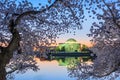 Jefferson Memorial in Spring Royalty Free Stock Photo