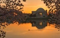 Jefferson Memorial Sunrise Royalty Free Stock Photo
