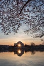 Jefferson Memorial at sunrise Royalty Free Stock Photo