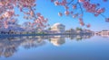 The Jefferson Memorial Surrounded by Cherry Blossom Trees Royalty Free Stock Photo