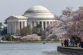 Jefferson Memorial in Washington DC in spring Royalty Free Stock Photo