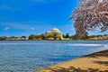 Jefferson memorial West Potomac Park Tidal Basin cherry blossoms  Washington DC Royalty Free Stock Photo