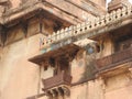 Jehangir Mahal, details and elements of Orchha Fort, Hindu religion, ancient architecture, Orchha, Madhya Pradesh, India