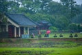 Jeju City,South Korea-July 2019: Korean traditional house Hanok at Hangpaduri Hangmong Historic Site in the rain