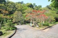 Jeju city street view in South Korea