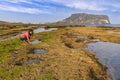 Jeju Island South Korea, at Seongsan Ilchulbong Royalty Free Stock Photo