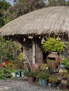 Jeju Island, South Korea. Traditional house