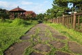 Jeju olle pathway with grass through a park with a little gardenhouse in Seogwipo, Jeju Island, South Korea Royalty Free Stock Photo