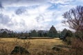 Jeju stone park tall stone towers Royalty Free Stock Photo