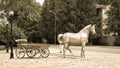 Metal sculpture `Horse with a carriage`